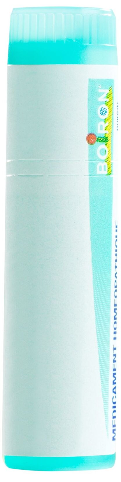 BOIRON thuya occidentalis glob 200 K 1 dos - immagine 2