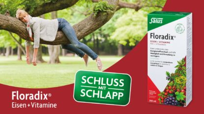 FLORADIX Fer + vitamines caps 40 pce - immagine 6