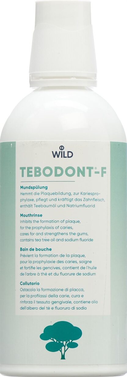 TEBODONT-F bain bouche fl Pet 500 ml