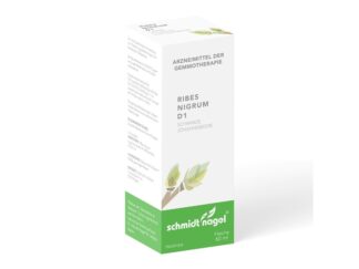 SN ribes nigrum BG mac glyc 1 DH 60 ml