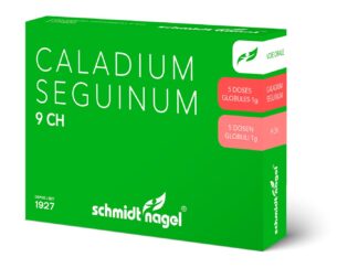 SN caladium seguinum glob 9 CH 5 x 1 g