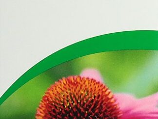 VOGEL Echinaforce résistance refroi gouttes 200 ml