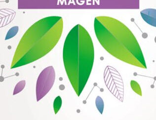 IBEROGAST Estomac gouttes fl 100 ml