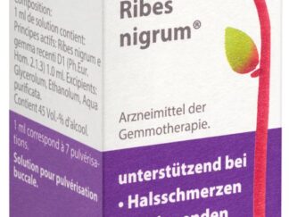 SPAGYROS ribes nigrum spray buccal 1 D 30 ml