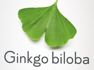 PHYTOPHARMA Ginkgo biloba caps 60 pce